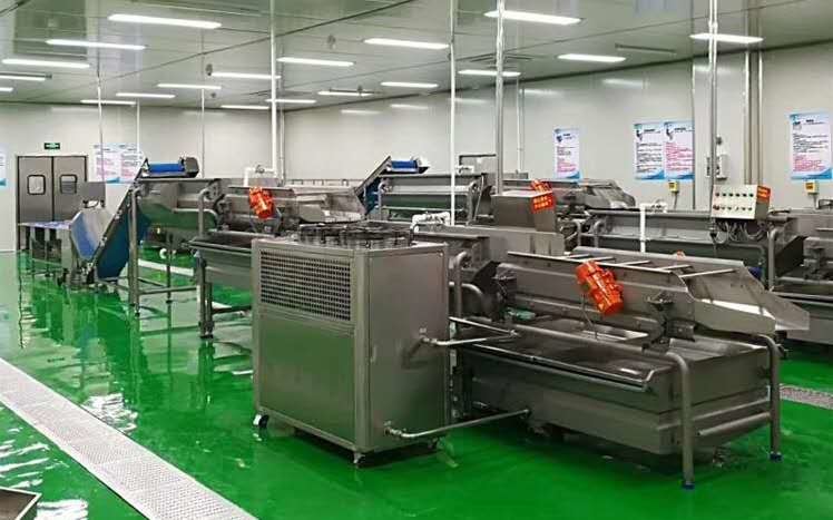 mais recente caso da empresa sobre Frutos de Coreia do Sul &amp; fábrica de lavagem vegetal