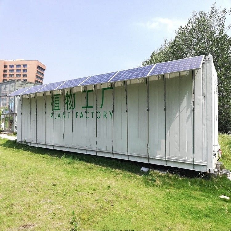 Máquina de germinação hidropónica comercial de forragem verde tipo recipiente